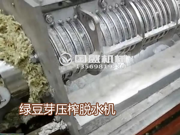 水果视频下载网站入口绿豆芽压榨机